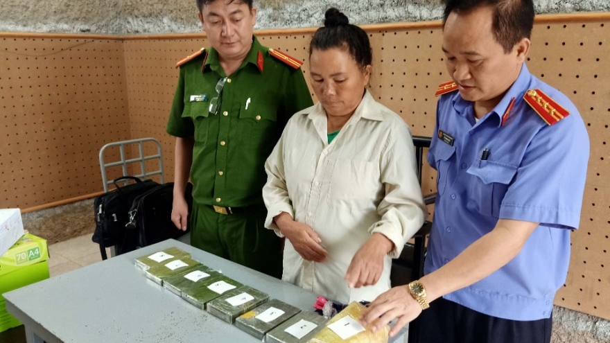 Hai đối tượng mua 7 bánh heroin và hàng nghìn viên ma túy ở biên giới Việt - Lào 