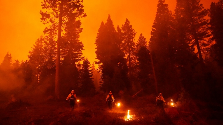 Cháy rừng tại California khiến ít nhất 3 người thiệt mạng