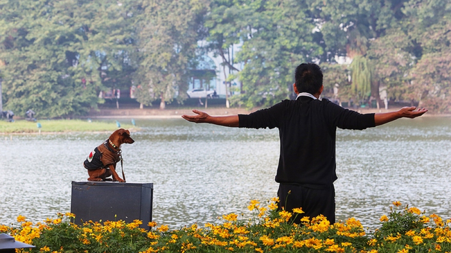 Walking dogs might be banned from Hanoi’s walking streets