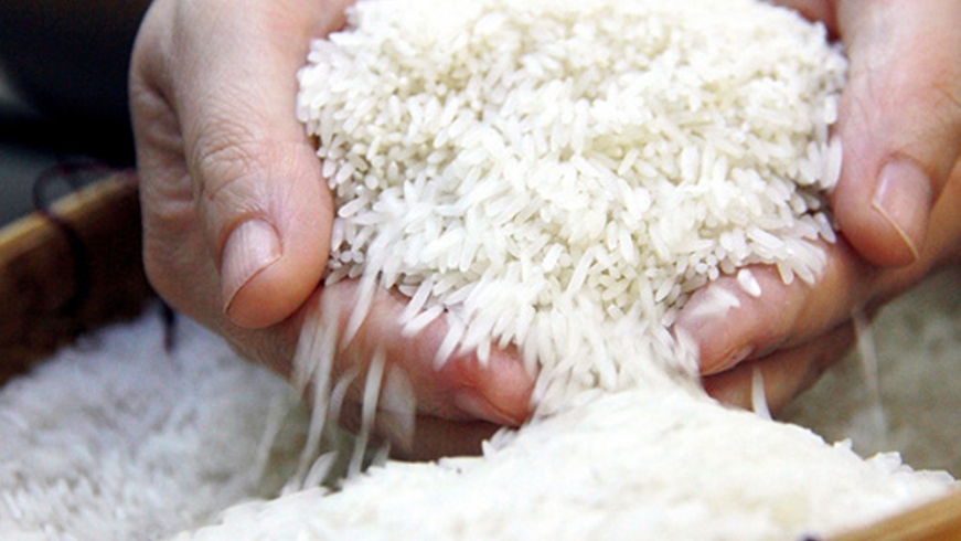 Sẽ xuất lô gạo ngon nhất sang châu Âu với giá cao vào tuần tới