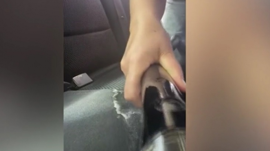 Video cho thấy ghế ngồi của ô tô bẩn như thế nào