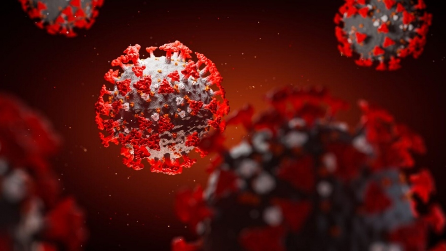 Phát hiện kháng thể có thể “vô hiệu hóa hoàn toàn” virus SARS-CoV-2 