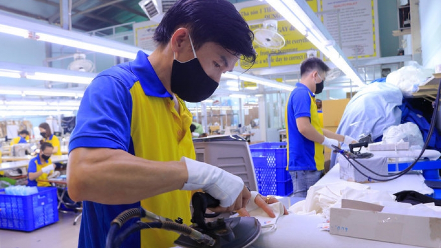 COVID-19 takes heavy toll on Vietnamese firms’ incomes: survey