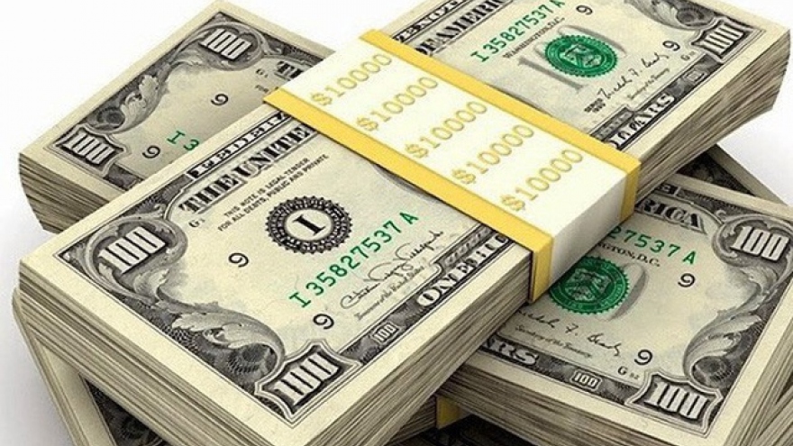 Dự trữ ngoại hối có thể đạt mức 100 tỉ USD vào cuối năm nay