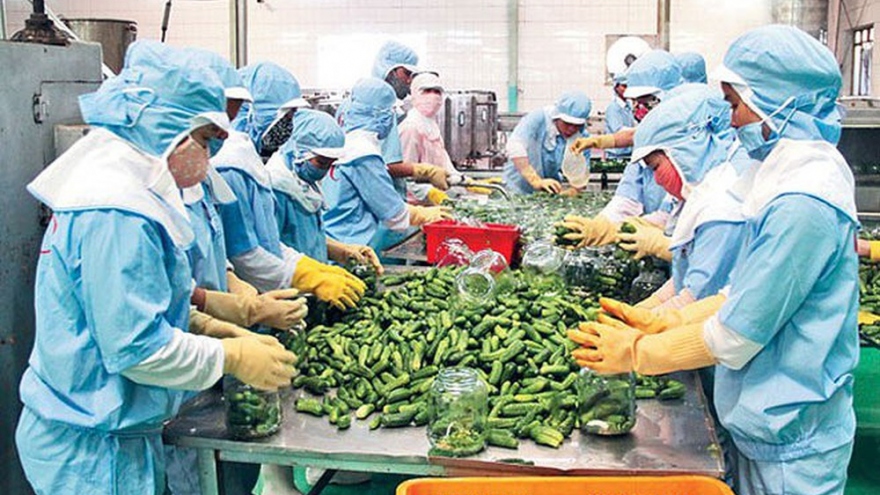 Vietnam emerges as ideal supplier of agricultural produce for global market 