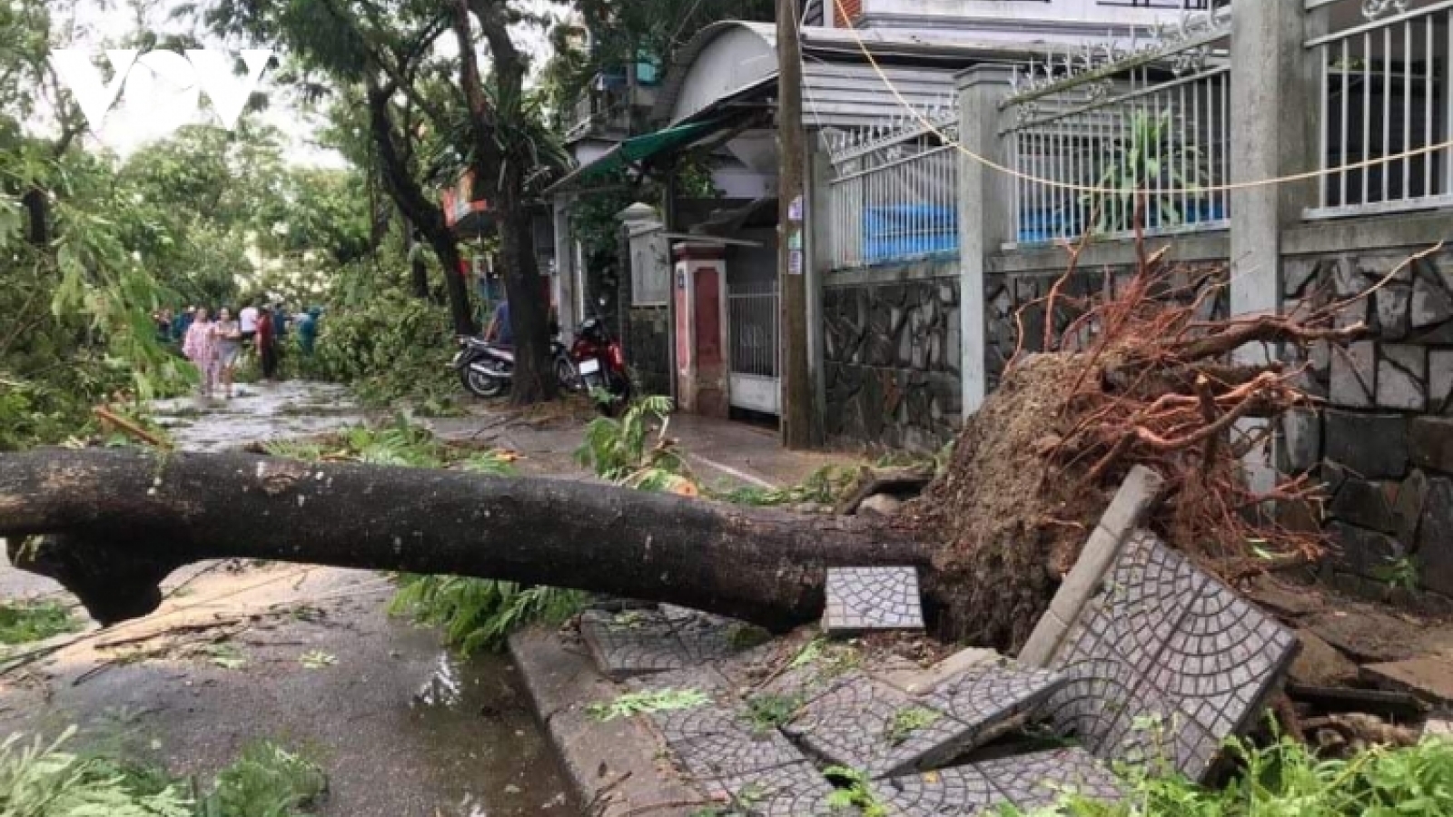 Storm Noul makes landfall, 1 dies, dozens injured 