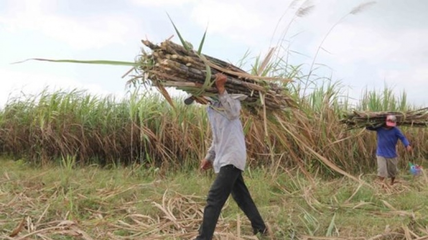 Sugar firms struggle due to ATIGA