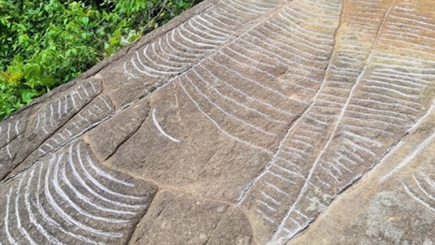 More ancient slabs with engravings of terraced fields found in Yen Bai