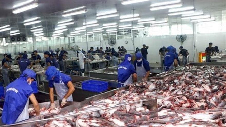 COVID-19 impact causes tra fish exports to China to plummet