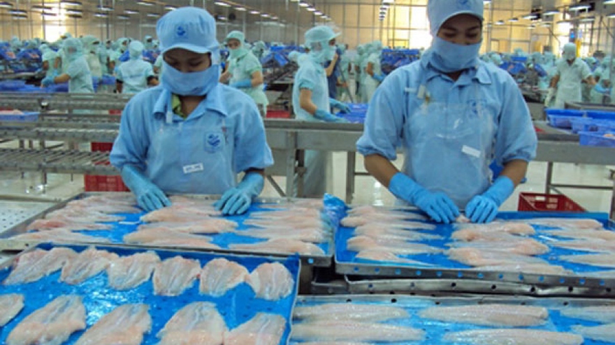Tra fish exports to UK market enjoy surge 
