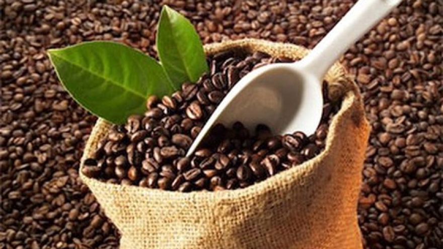 Vietnam exports first batch of coffee to EU with zero tariffs