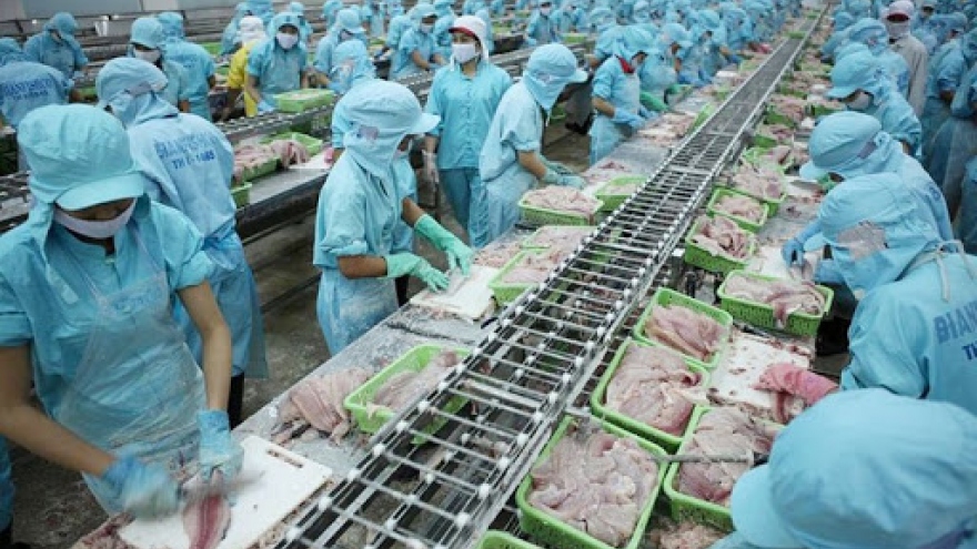 Squid and octopus exports rebound after enforcement of EVFTA 