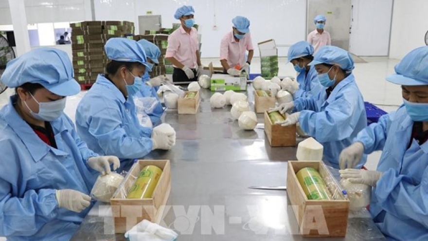 EVFTA brings myriad opportunities for Vietnam exporters: official