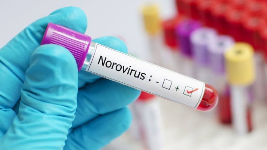 Trung Quốc: Hơn 70 sinh viên nghi nhiễm norovirus 