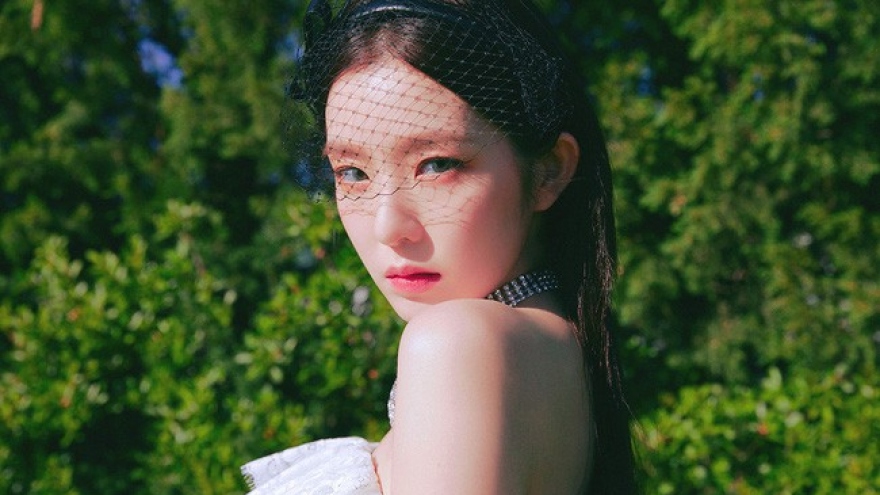 "Nữ thần" Irene (Red Velvet) thừa nhận xúc phạm biên tập viên thời trang nổi tiếng