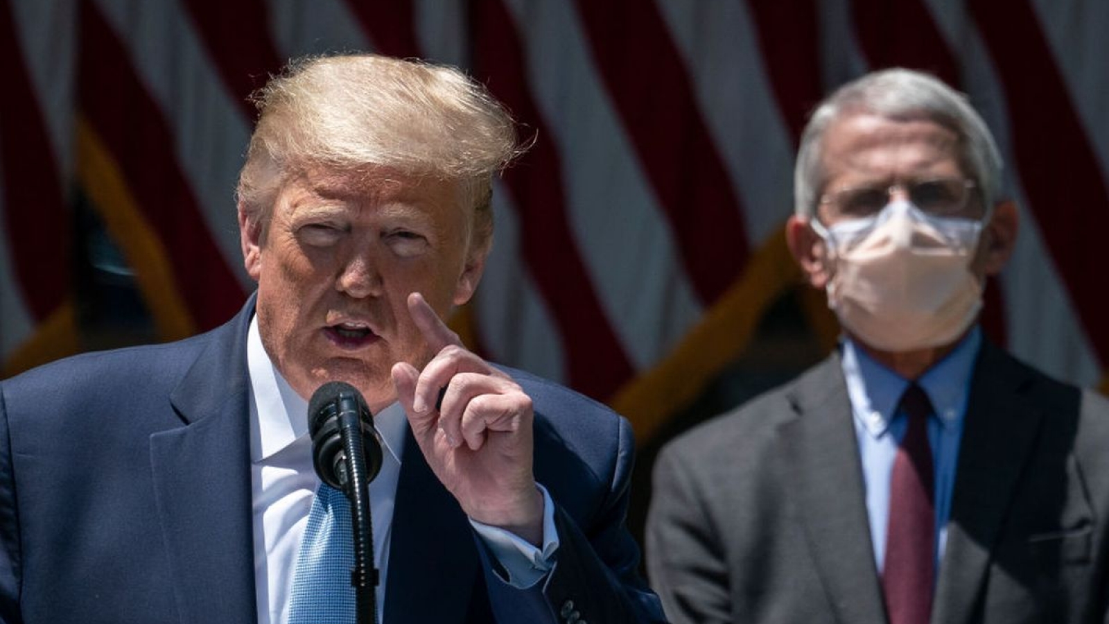 Tổng thống Trump gọi Tiến sỹ Fauci là “thảm họa”