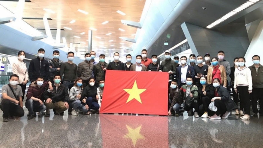 Qatar Airways repatriates over 340 Vietnamese citizens from Norway