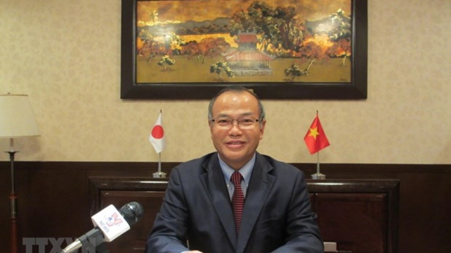 Vietnam-Japan ties a model of win-win partnership: Diplomat