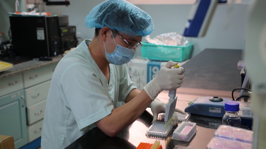 Vietnam starts COVID-19 vaccine trials on monkeys