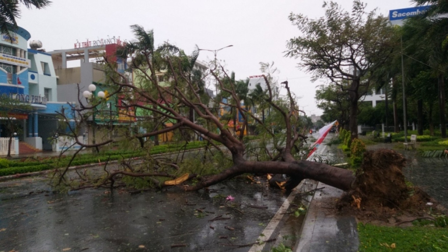 Các tỉnh Kon Tum, Gia Lai khẩn cấp cho học sinh nghỉ học phòng chống bão số 9