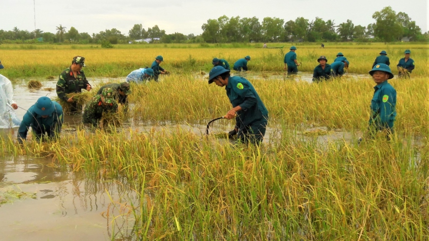 Ngập lụt ở Cà Mau: “Ở đâu dân gặp khó, ở đó có bộ đội”