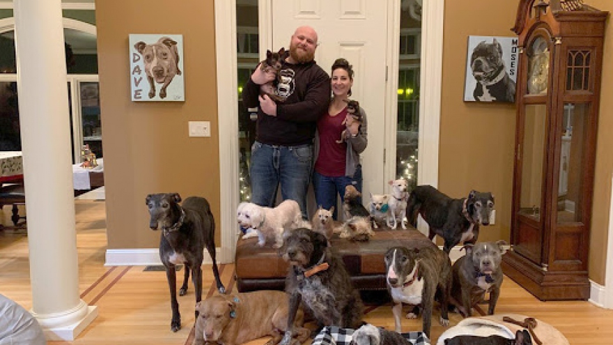 Cặp vợ chồng nuôi hơn 20 chú chó khuyết tật trong nhà