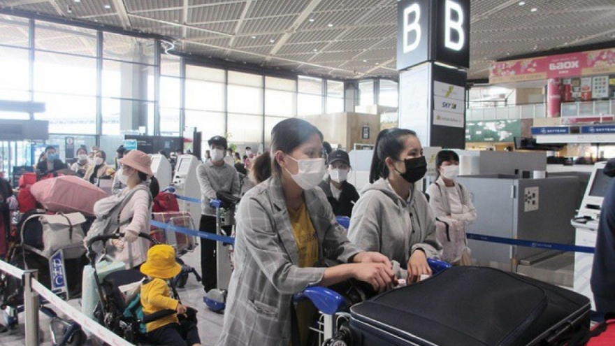 Hơn 220 công dân Việt Nam từ Nhật Bản về nước an toàn