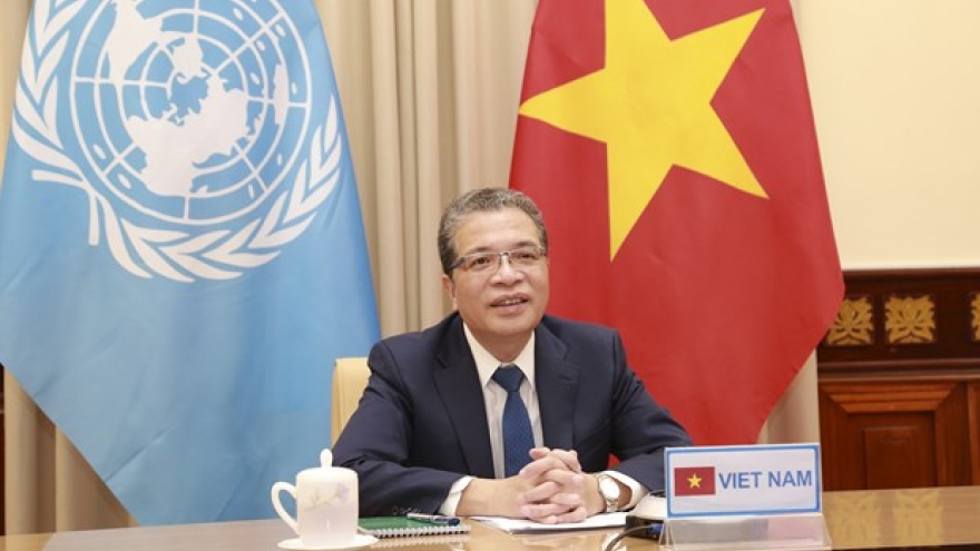 Vietnam backs facilitation of dialogue, cooperation in Persian Gulf: Official