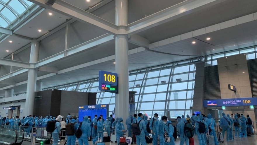 Vietnam Airlines repatriates nearly 450 Vietnamese citizens from RoK