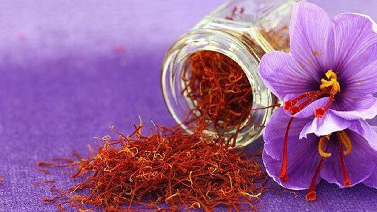 “Thần dược” nhụy nghệ tây có gì đặc biệt mà giá “cắt cổ”?