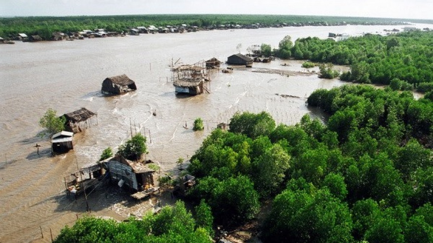 HSBC, WWF Vietnam join hands to recover submerged forests