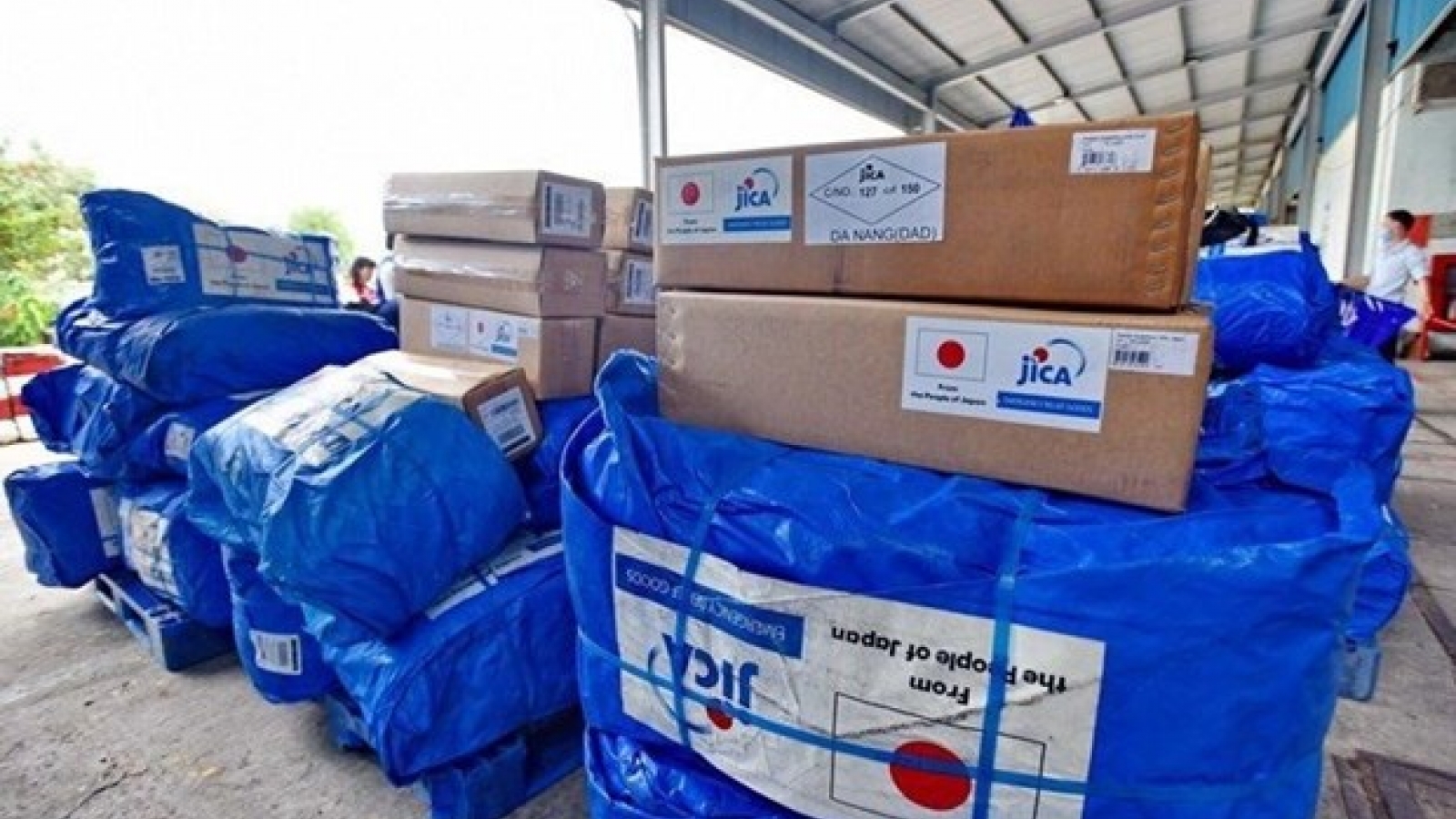 Japanese gov’t helps Thua Thien – Hue flood victims