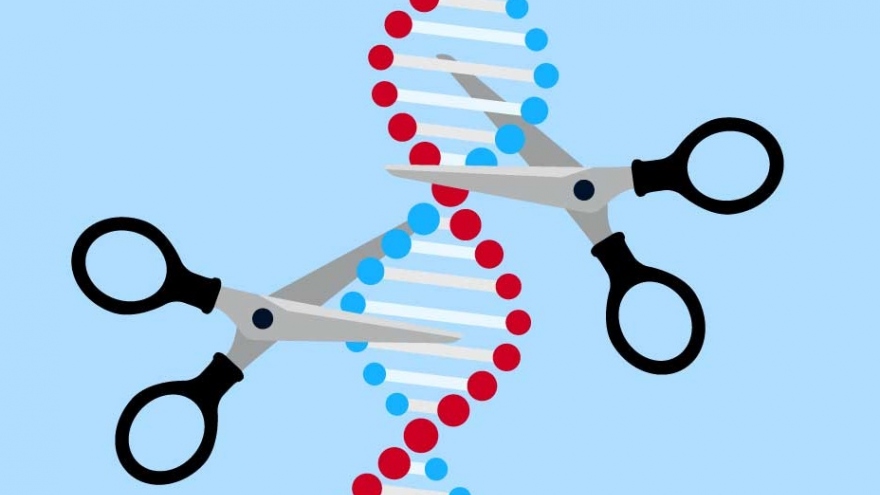 Hai nhà khoa học nữ đoạt giải Nobel Hóa học 2020 về chỉnh sửa bộ gen