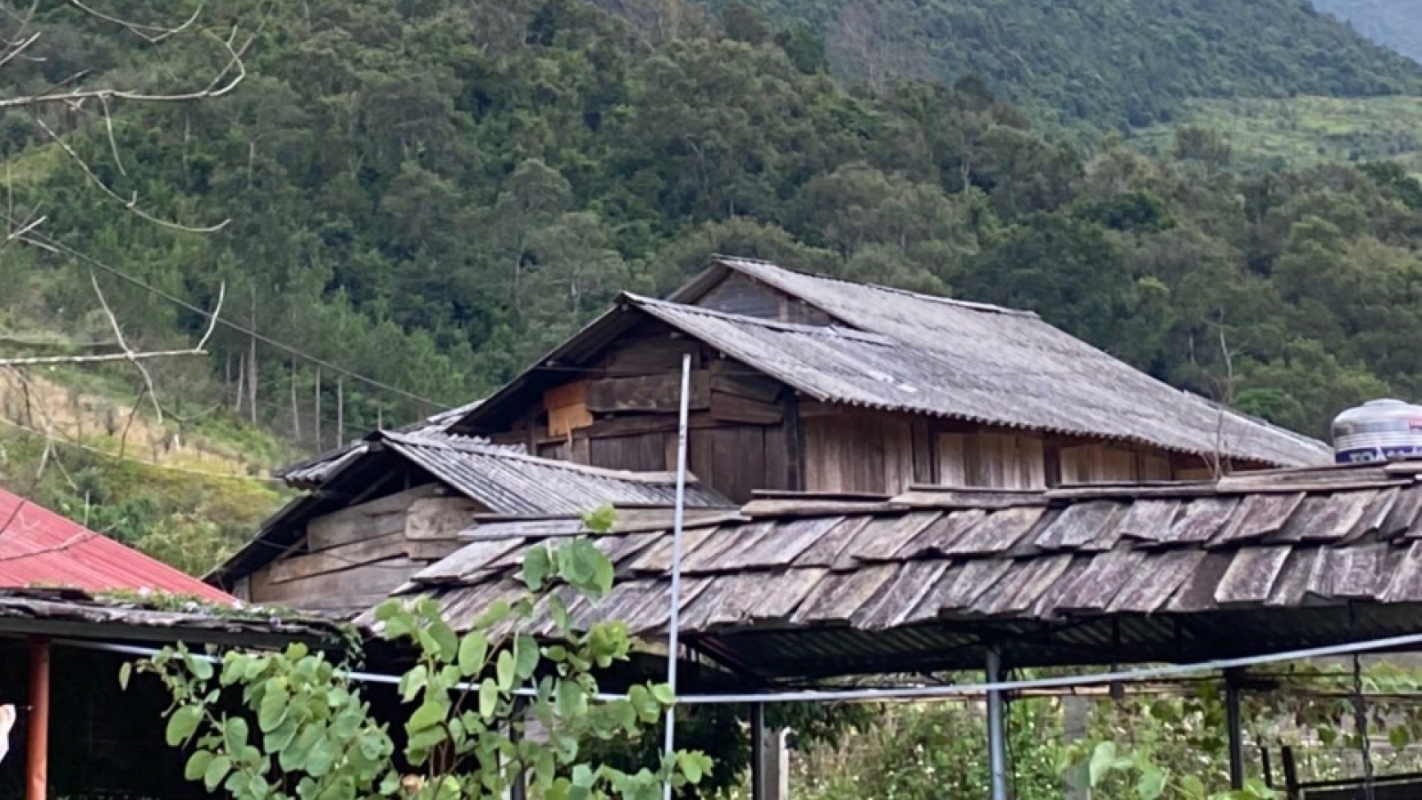 Án mạng, con trai nghiện ma túy sát hại cha rồi tự sát