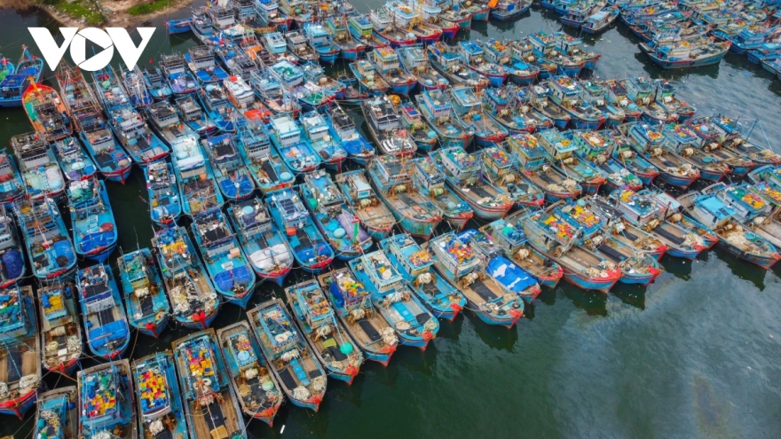 Vessels and boats take shelter to avoid Typhoon Molave