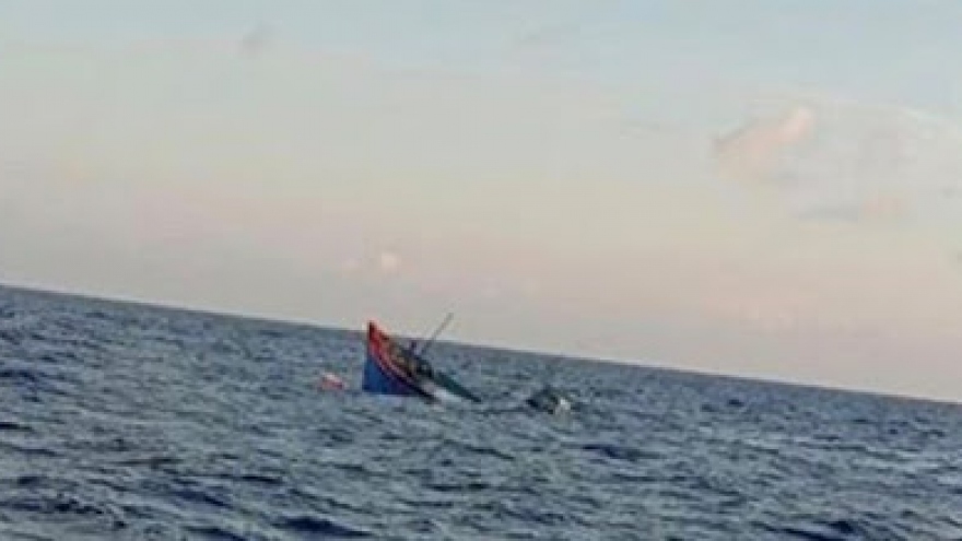 12 ngư dân Bình Định mất tích do tàu cá bị chìm