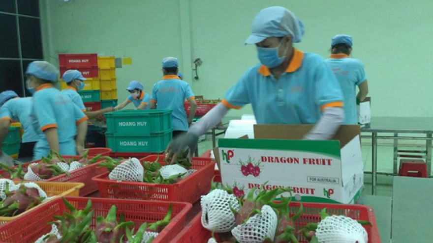 Vietnam, India see huge export potential ahead for farm produce