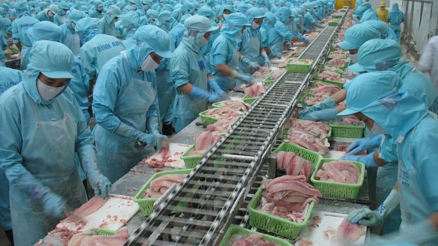 China, US make up more than 50% of export value for Vietnamese tra fish