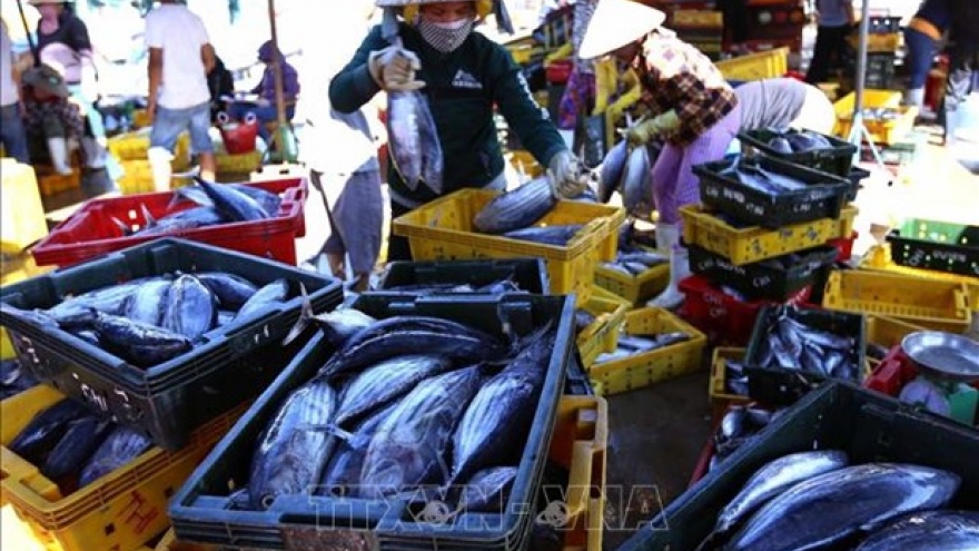 Workshop seeks ways to promote tuna exports to EU