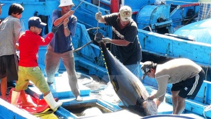 Tuna exports to Italy soar in September