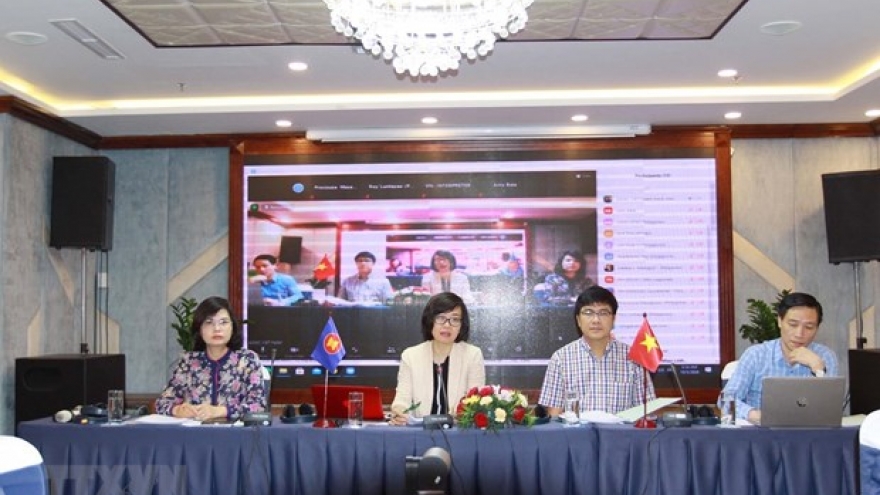 Vietnam holds national consultation on promoting social work in ASEAN