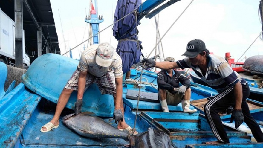 ASEAN Today: Vietnam lauded for efforts to combat illegal fishing