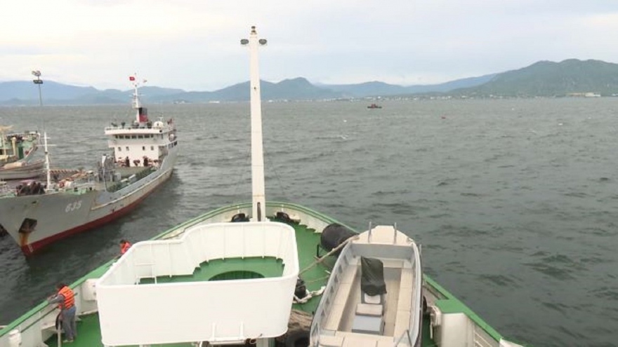 Tiếp cận được tàu cá Bình Định, tiếp tục tìm kiếm 26 ngư dân mất tích