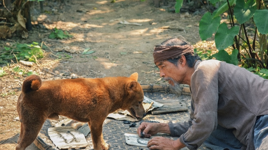 Điện ảnh Việt: Chuyển thể hay phóng tác?