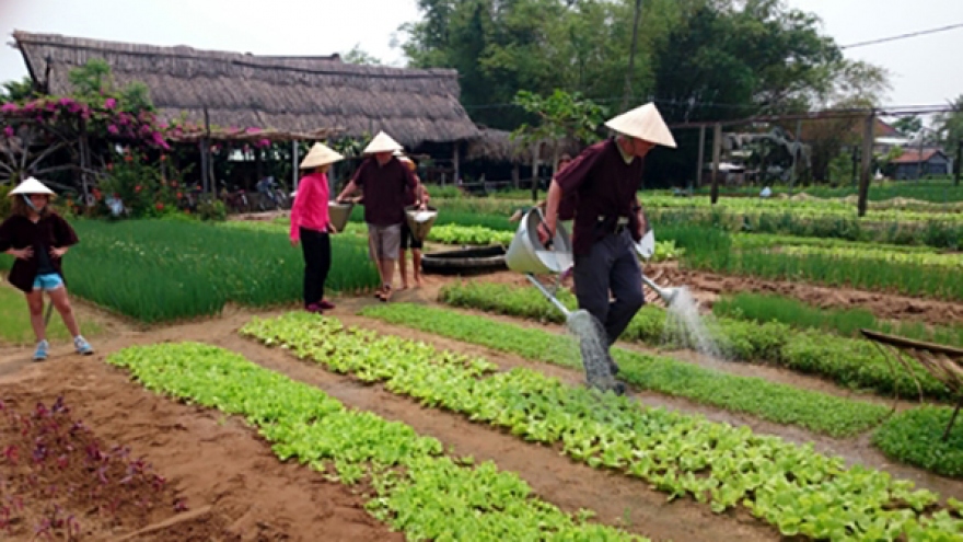 Kinh doanh du lịch nông nghiệp còn mang nhiều tính tự phát