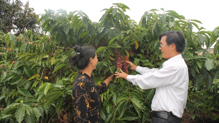 Ngành hàng cà phê muốn hội nhập thì cần phải đổi mới, sáng tạo