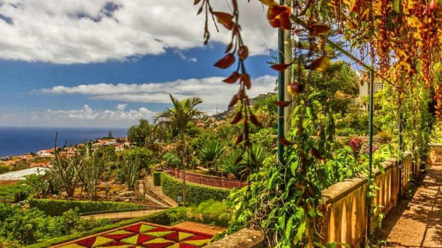 Madeira - hòn đảo thiên đường "hot" nhất châu Âu