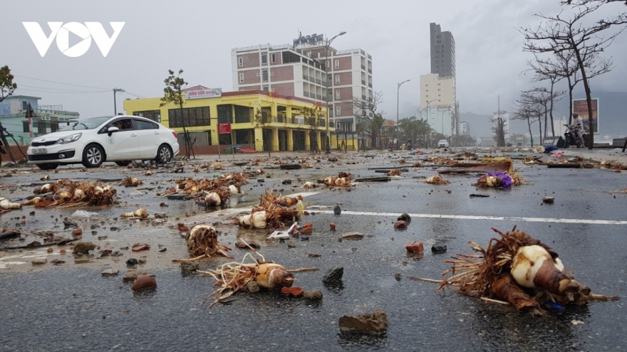 Centrally-run Da Nang slightly damaged by storm Vamco 