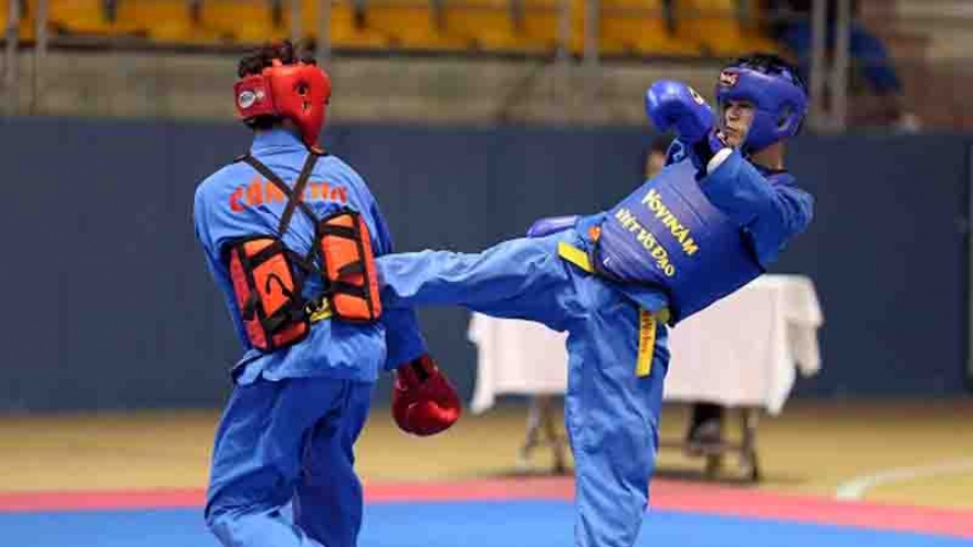 Ha Tinh province welcomes launch of National Vovinam Championship