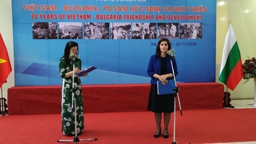 Vietnam, Bulgaria enjoy tighter bonds than ever: Ambassador